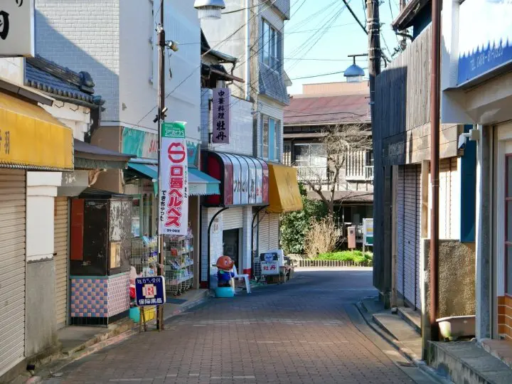 利用超值「Misaki Maguro Day Trip Ticket 」去三浦半島賞櫻吃鮪魚