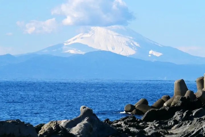 利用超值「Misaki Maguro Day Trip Ticket 」去三浦半島賞櫻吃鮪魚