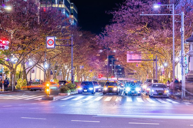 冬の夜を彩る東京のイルミネーション5選 17 18年 Matcha 訪日外国人観光客向けwebマガジン
