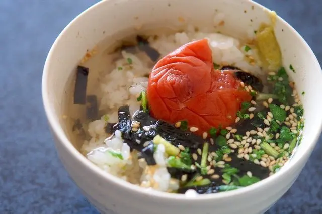 日本のことば事典「漬物」