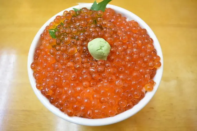 尋找日本最北的浪漫｜小樽運河・堺町通周邊美食美酒溫泉散策