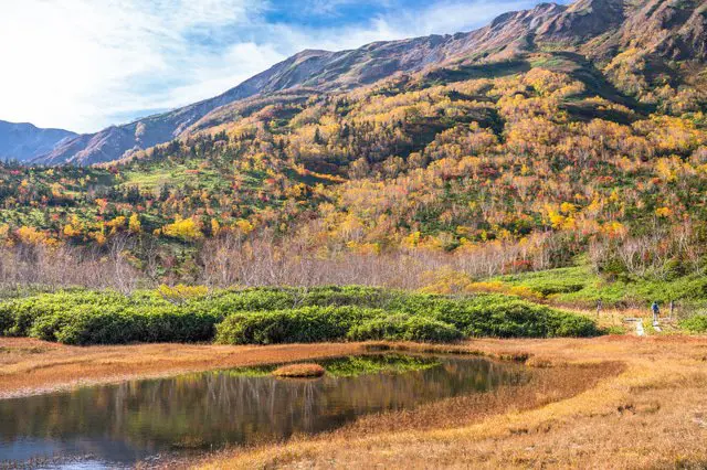 ไกด์นำเที่ยวนากาโน่แบบจัดเต็ม! 23 แหล่งท่องเที่ยว・10 ลานสกี・ข้อมูลโซนต่างๆ