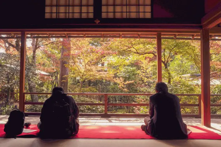 集日本細心與講究於一身的『茶道』|窺探日本款待精神的原點