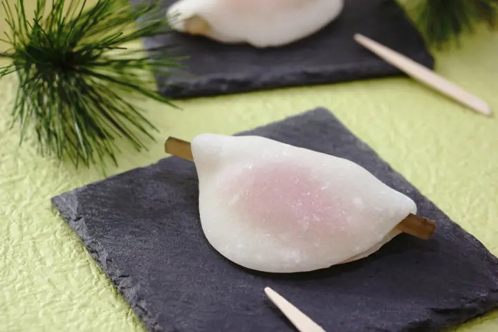 Pengetahuan Dasar dan Cara Belajar Sadou di Jepang