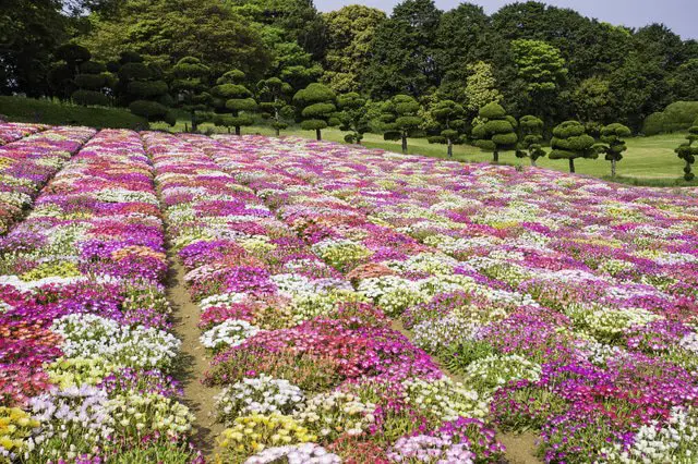 Guía de Viaje de Fukuoka – ¡Visita una de las ciudades más vibrantes de Japón!
