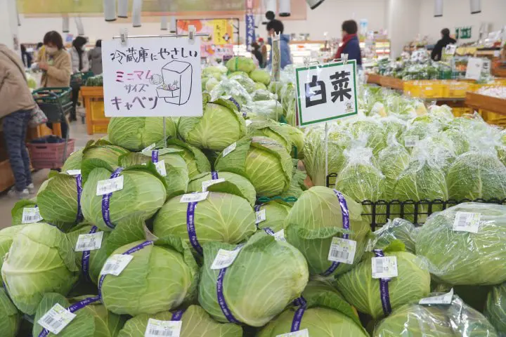 愛知超好逛的道路休息站!「道之駅豐橋」用在地食材吸睛也抓住你的胃