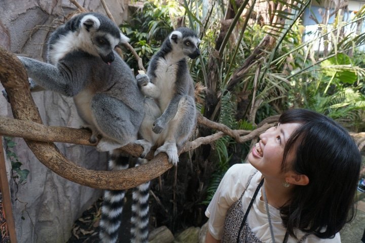 心身リフレッシュ!大自然に温泉や美術館が満喫できる那須高原の旅
