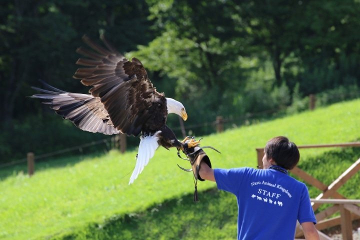 心身リフレッシュ!大自然に温泉や美術館が満喫できる那須高原の旅