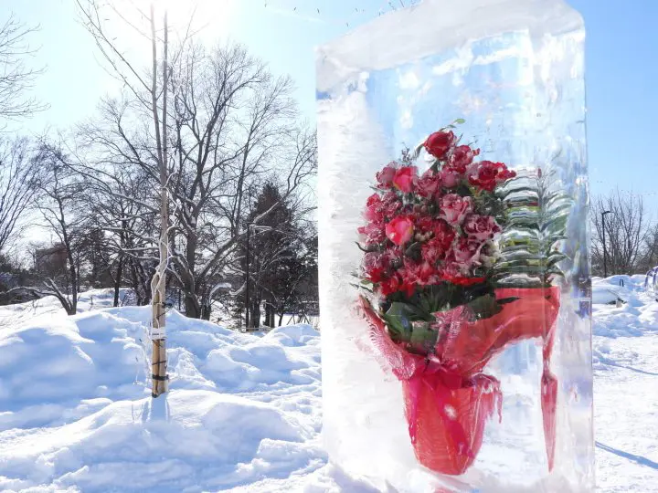 Japan Snow Festivals