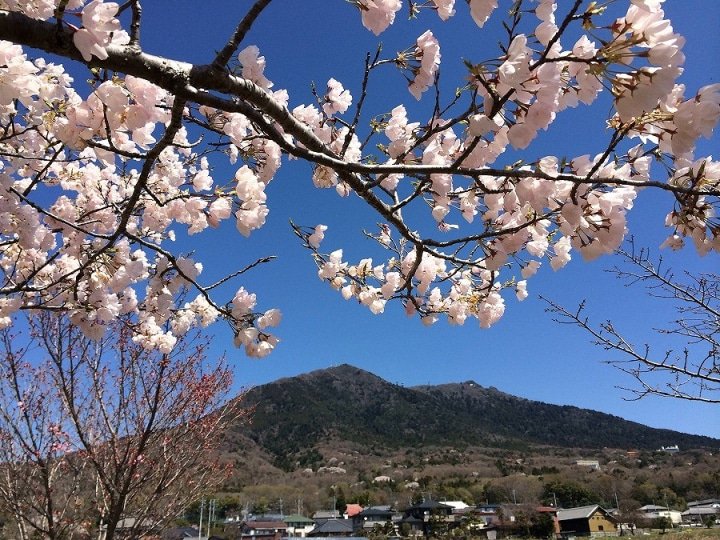 サイクリングにパラグライディング!茨城県で楽しめるアウトドアアクティビティ5選