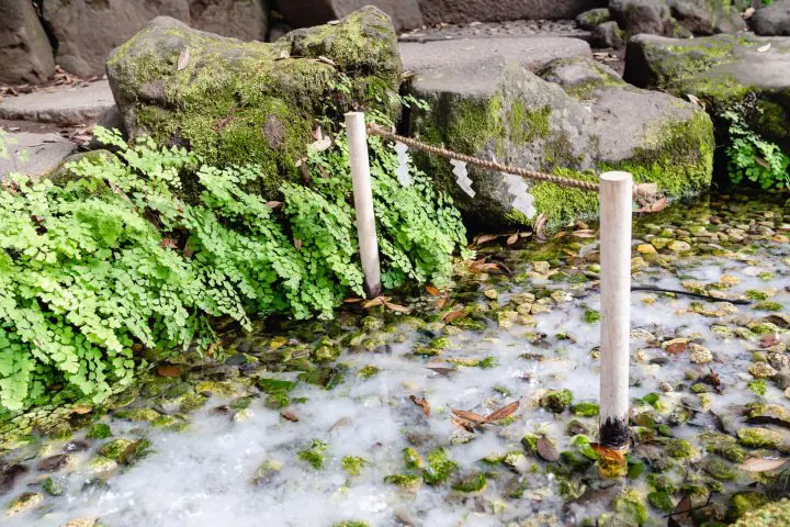 【<ruby>埼玉県<rt>さいたまけん</rt></ruby><ruby>川越市<rt>かわごえし</rt></ruby>】<ruby>縁結<rt>えんむす</rt></ruby>びの<ruby>神社<rt>じんじゃ</rt></ruby>「<ruby>川越氷川神社<rt>かわごえひかわじんじゃ</rt></ruby>」ですべき8つのこと