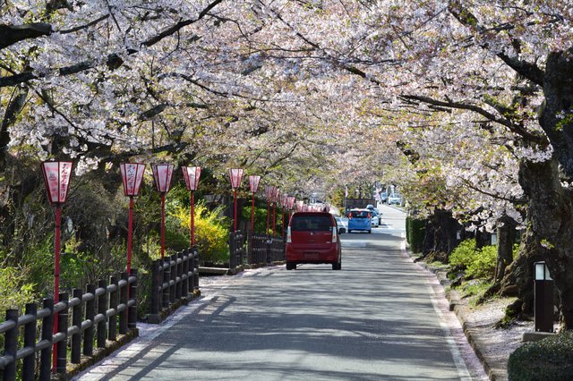 お城・桜・温泉・お祭り! 福島・二本松で「美しい日本」に出会う旅へ