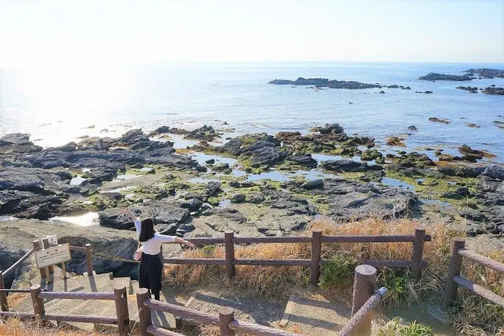 Using the Misaki Maguro Pass in Spring! Kawazu Sakura Festival in Miura