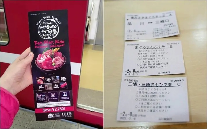 Using the Misaki Maguro Pass in Spring! Kawazu Sakura Festival in Miura