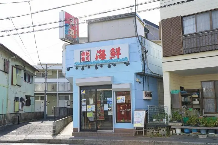 Using the Misaki Maguro Pass in Spring! Kawazu Sakura Festival in Miura