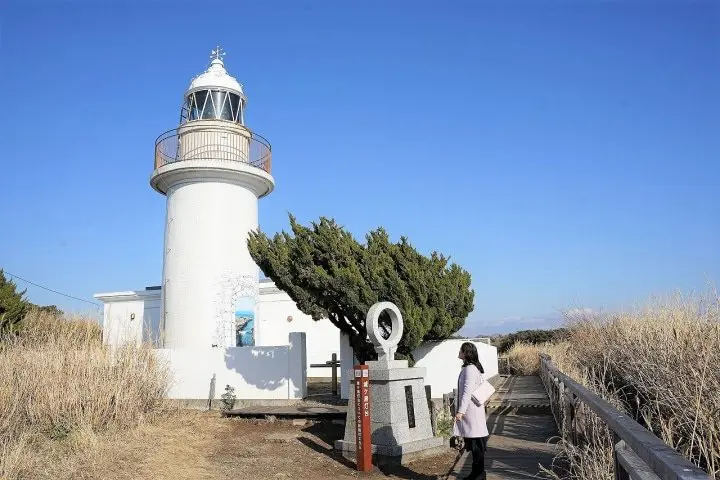 Using the Misaki Maguro Pass in Spring! Kawazu Sakura Festival in Miura