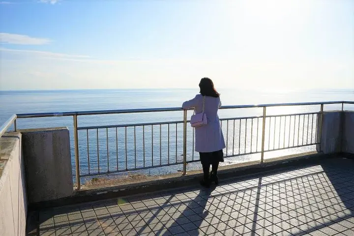 Using the Misaki Maguro Pass in Spring! Kawazu Sakura Festival in Miura