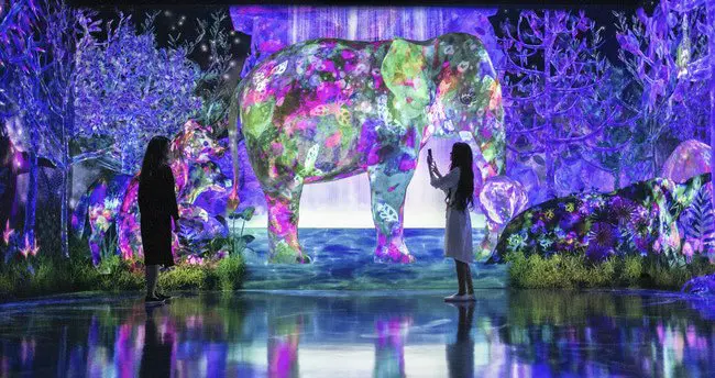 Exhibit Highlights and Discounted Tickets! Our Recommended teamLab Exhibitions