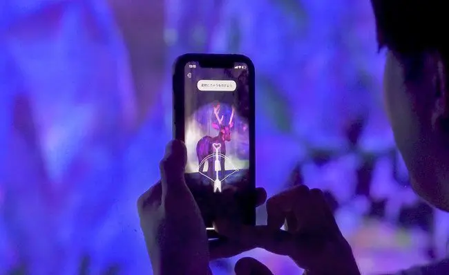 Exhibit Highlights and Discounted Tickets! Our Recommended teamLab Exhibitions