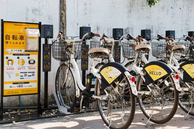 [SAKURA] มาตระเวนชมจุดชมวิวที่มองเห็นซากุระได้เลียบไปตามแม่น้ำสุมิดะกัน! 1/2