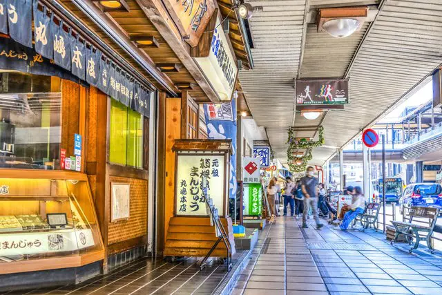 ไกด์นำเที่ยวฮาโกเนะอันเลื่องชื่อเรื่องออนเซ็นและธรรมชาติอันอุดมสมบูรณ์