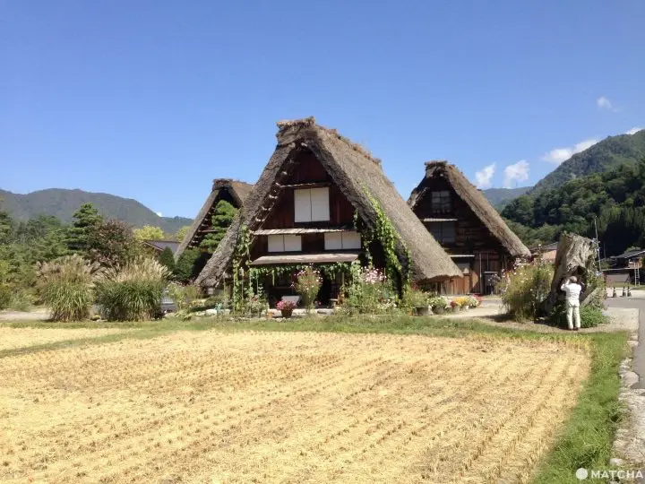 老家白掌村民宿、說再見的天橋都收錄了！2021秋季話題日劇《最愛》拍攝地巡禮