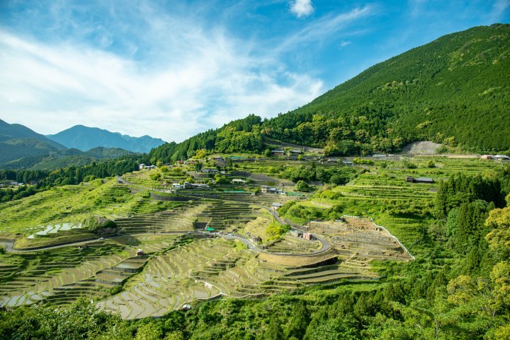Hướng dẫn đầy đủ về du lịch ở Mie! Giới thiệu 28 địa điểm thăm quan (từ đền Ise Jingu đến khu nhà Ninja) và các thông tin về giao thông, ăn uống