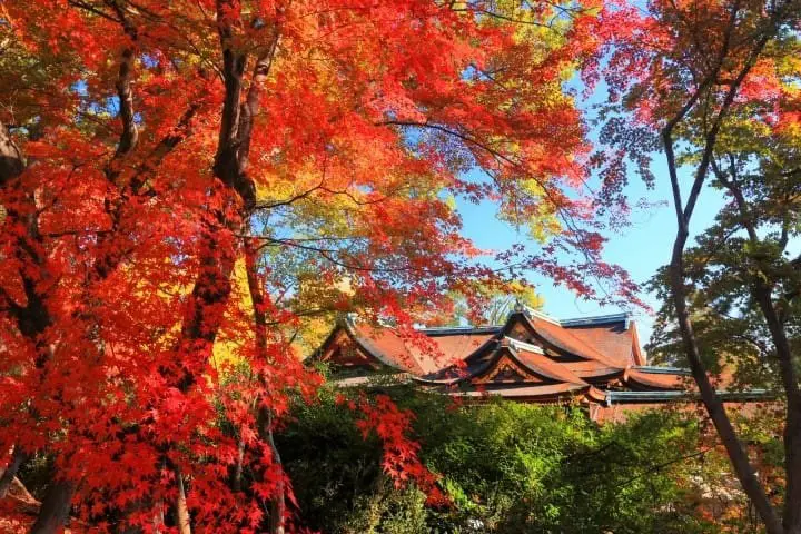 旅游京都,一定要走访的13个观光胜地(金阁寺,龙安寺等)