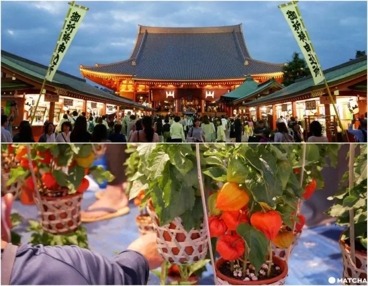 淺草自由行懶人包｜48個美食、購物、住宿推薦景點寫下專屬自己的淺草紀行