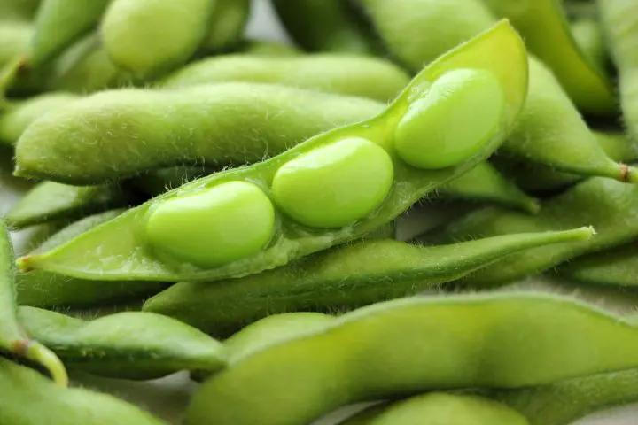 居酒屋必點日本下酒菜定番4選