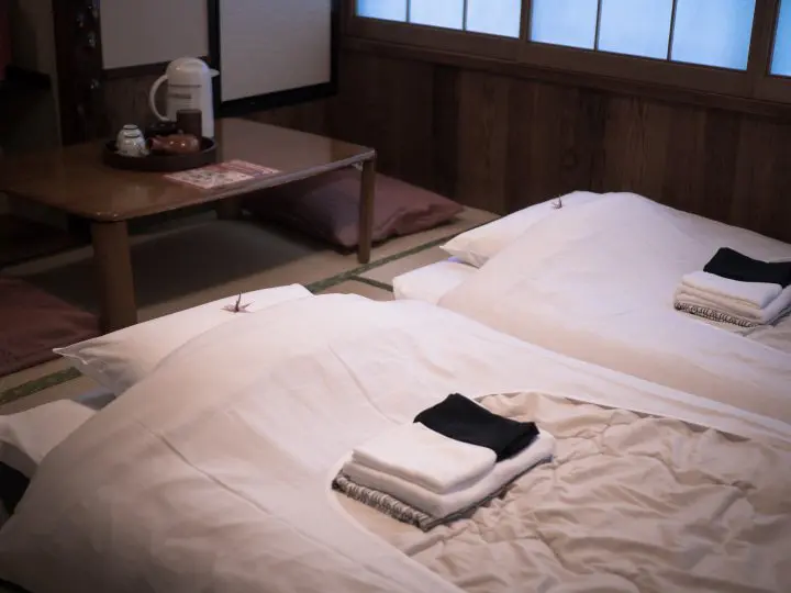 Taking a Break in Yanesen—Traditional Ryokan: Sawanoya