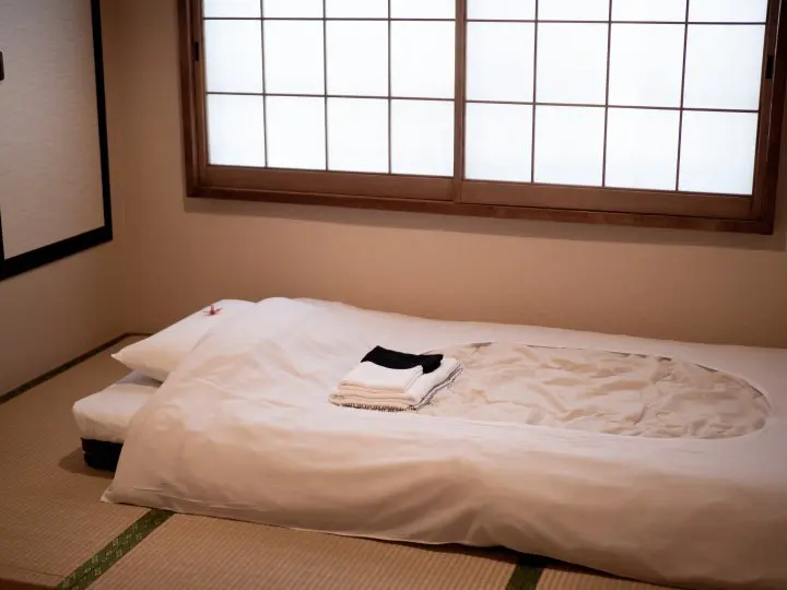 Taking a Break in Yanesen—Traditional Ryokan: Sawanoya