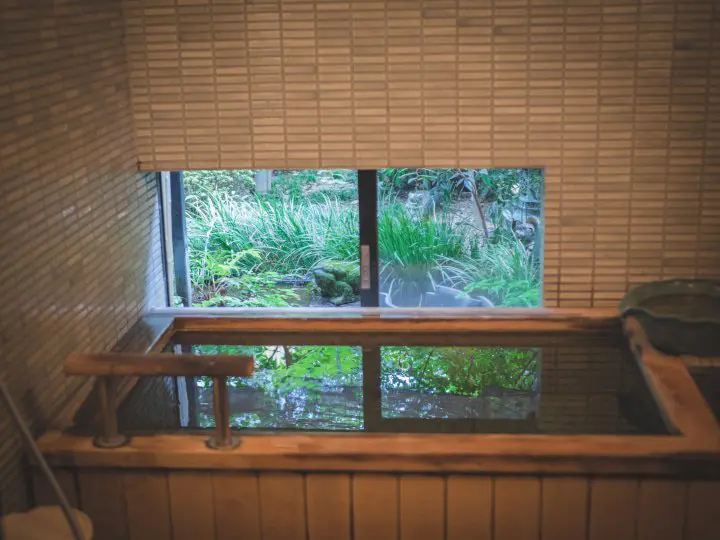 Taking a Break in Yanesen—Traditional Ryokan: Sawanoya