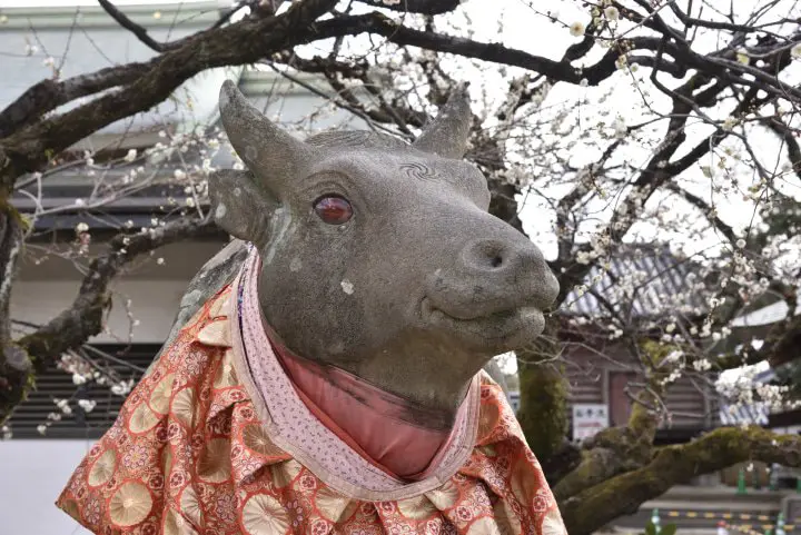 Kitano Tenmangu Shrine, Kyoto - Offer A Prayer To The God Of Scholars