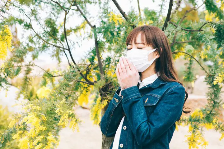 Hayfever in Japan 