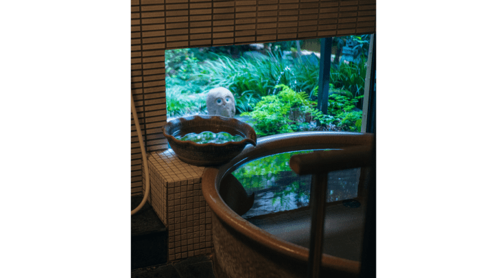 Taking a Break in Yanesen—Traditional Ryokan: Sawanoya