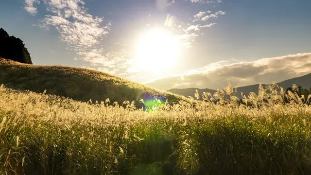 箱根の秋の2大スポット「長安寺」と「仙石高原」