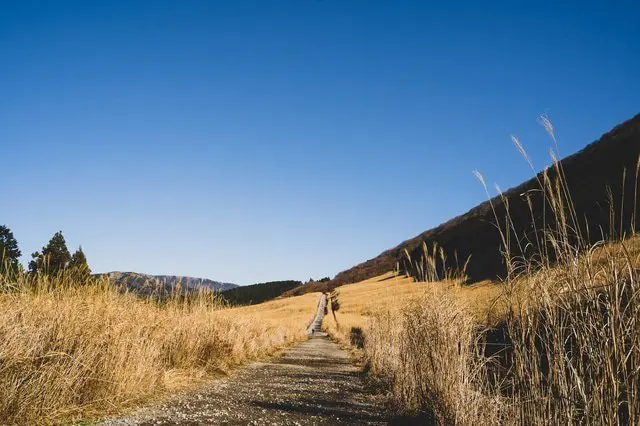 箱根の秋の2大スポット「長安寺」と「仙石高原」