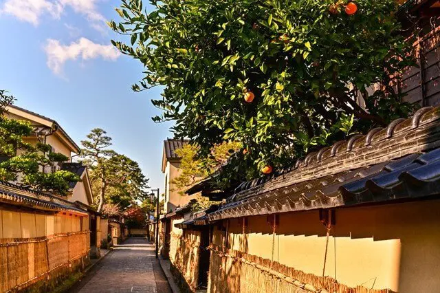 兼六園など歴史ある観光スポットが魅力。金沢のエリアガイド