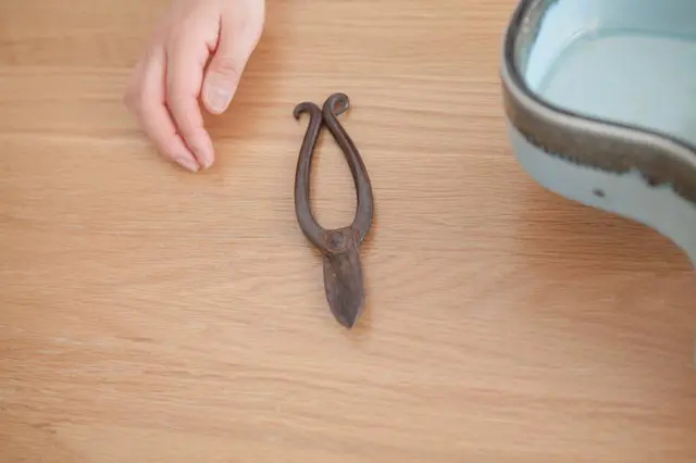 สารานุกรมคำญี่ปุ่น “คาโด・อิเคบานะ (การจัดดอกไม้แบบญี่ปุ่น)”