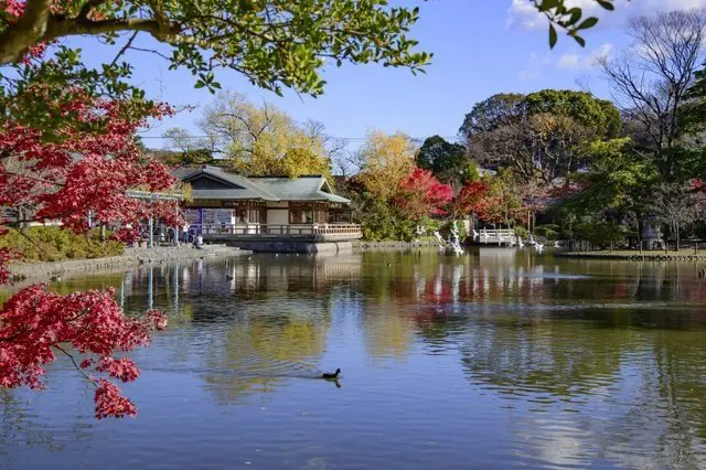 4 địa điểm ngắm lá đỏ ở Kamakura (Tsurugaoka Hachimangu, Công viên Genjiyama, Chùa Meigetsuin, Chùa Hasedera)