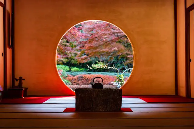 紅葉を楽しむならここ!鎌倉の紅葉スポット(鶴岡八幡宮、源氏山公園、明月院、長谷寺)