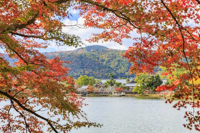 スーツケースに何入れる？関西地方の年間の天気とオススメコーディネート