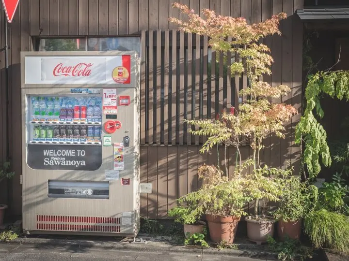 Taking a Break in Yanesen—Traditional Ryokan: Sawanoya