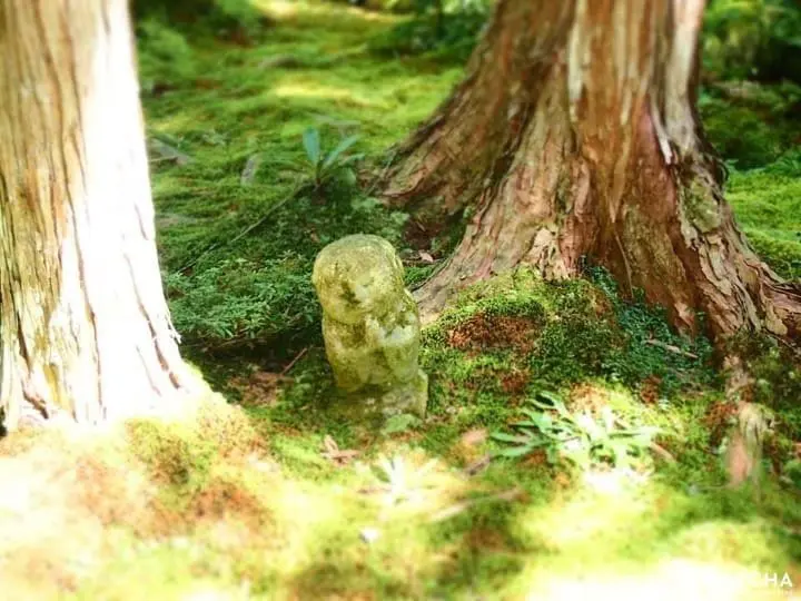 京都大原三千院的「童地藏