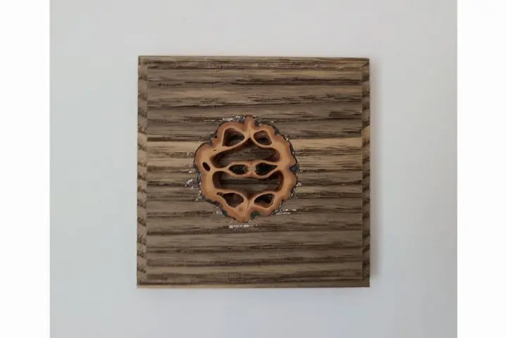 A History Lesson in the Heart of Shinjuku: Kadoya Hotel