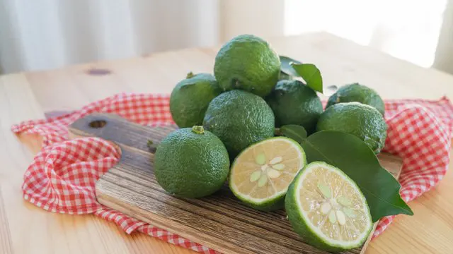 Ponzu - Japanese Encyclopedia 