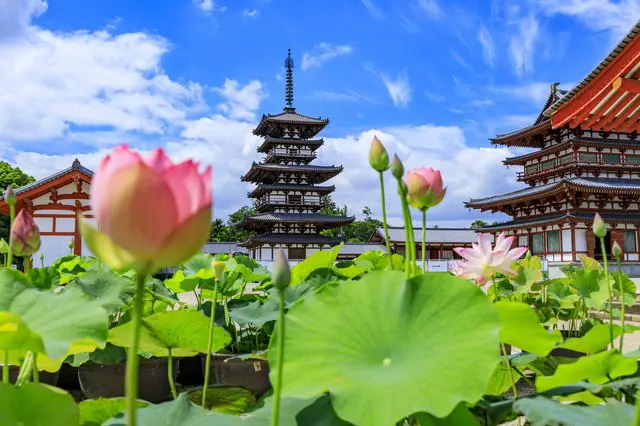 Nara Travel Guide - Get To Know Japan's Ancient Capital