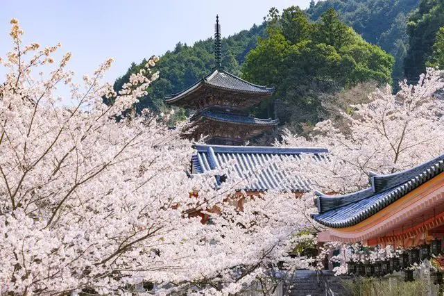 Nara Travel Guide - Get To Know Japan's Ancient Capital