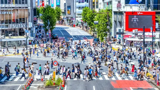 4 Tempat Terbaik untuk Menikmati Pemandangan Persimpangan Scramble di Shibuya!